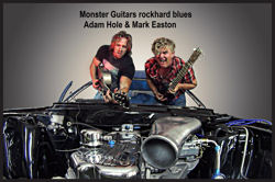 Monster Guitars image