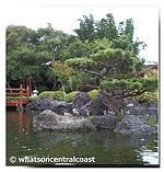 The pond at Edogawa Gardens - Gosford Regional Gallery - What's On Image